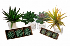 116 Veštačke biljke